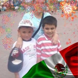 Meet your Posher, Daisy